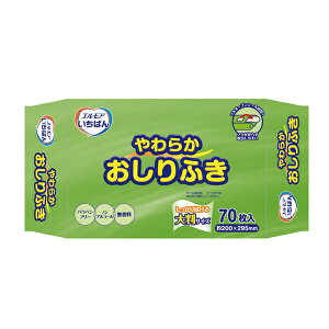 yX[p[SALEP2{zGA ΂ 炩ӂ 480181 70 J~ ( r ӂ) pi