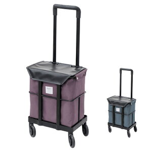 y10/1P5{zVbsOJ[g L[obO e  fB J[S OCbV[Y X[L[u[ 쏊 (EH[LOJ[g  JSu) pi