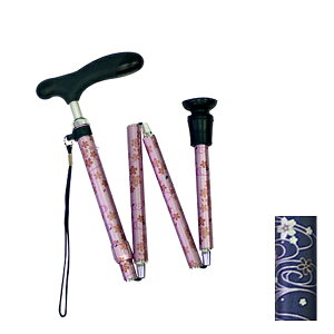 y}\P2{z XebL  ܂肽ݘa RۃObv CMS-13  s⏕ pi