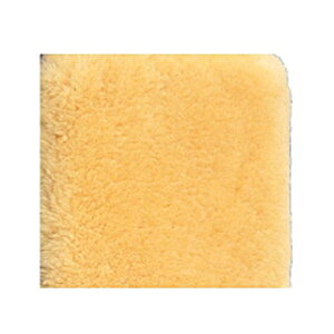 i[VObO Ԃpw NR-04 EFt@ Ԉ֎q Ԃ wNbV  pi