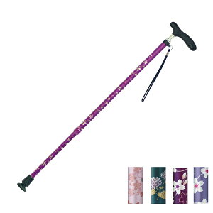 y}\P2{z XebL   LkaI@RۃObv CMS-11 (XebL  ) pi