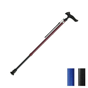 y}\P2{z XebL  邪E LkSEMp WB3738 WB3739 WB3740 tWz[ (XebL  ) pi