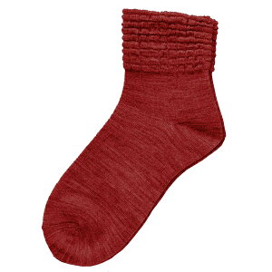 yubNtCf[P2{z(6Zbg) S\bNX wlp H~piэj3111H _ːN J[܂  C ₦ h  fB[X pi