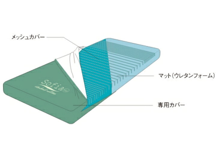 楽天市場】【スーパーSALE限定P2倍】（代引き不可）モルテン ソフィア 
