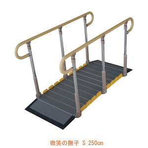 yX[p[SALEP2{z(s) xXgT|[g肷 ΂̕q 250cm 636-S250 VRN (肷tX[v sΉRpNg^Cv X[v) pi