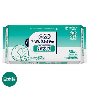 y}\P2{zGCt[ 炳炩炾ӂ 4827852934@30 jE`[ ( 炾ӂ V[g) pi