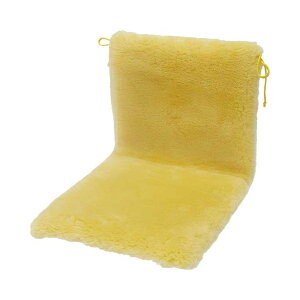 i[VObO ԂpJt@[NbV NR-45 () EFt@ Ԉ֎q Ԃ NbV  pi