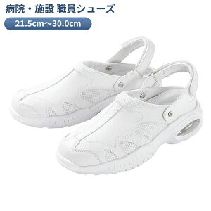 y}\P2{zV[Y fB[X Y  o V5 Ev zCg }AkC ( C V[Y) pi ̓ ̓ hV̓ v[g