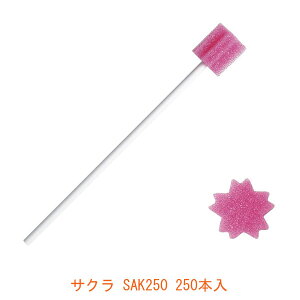 y}\P2{zTN SAK250 250{ ēH (o X|W oPAX|W) pi