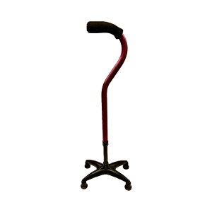  XebL }OlVEl_Neo (lI) WB5324 o[KfB tWz[  _ 4_ s⏕ pi