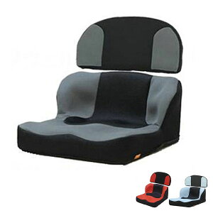 yX[p[SALEP2{z(s) LAPSibvXj+LAP BacksZbg TC-LS11 ^Jm (Ԉ֎q ԃCX NbV  ̈U) pi