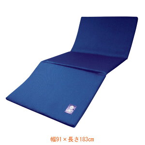 yX[p[SALEP2{z(s) N 3DRCxbhpbh 91×183cm RK3D-BP-910S {fBhN^[fBJPA (uXGA[ ̈U h~ ʋC) pi