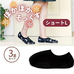 (3Zbg) ۂۂ V[g LTCY ۘaf C pC pi  ₦   j fB[X Mtg v[g