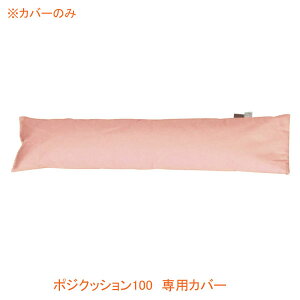 (s) |WNbV100 pJo[ ۈ䏤 pi