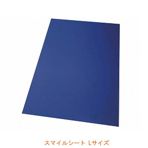 X}CV[g LTCY CS-SM-L  ^CJ (̈ʕϊ ړ ڏ) pi