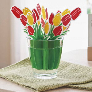 �d�����炸�̃G�R������ �ǂ��ł����C�X�`���[ �`���[���b�v DM-171 �G�������c ���p�i