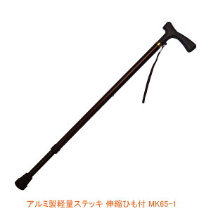 y}\P2{z XebL  A~ yʃXebL LkЂt MK 65-1  (XebL  ) pi