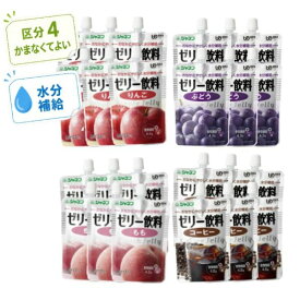 熱中症対策 ゼリー キユーピー ジャネフ ゼリー飲料 4種×各6個セット 100g 区分4 かまなくてよい お試し 介護食 介護食品 栄養補助食品 水分補給 介護用品 高齢者 食欲不振 栄養補助食品