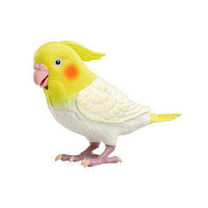 y}\P2{zNG[Vpi   Vl Ƃׂ V˃IJCR ^Jg~[A[c R~jP[V CR Fm { pi