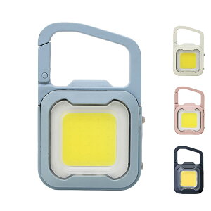 y}\P2{z[d ҂ MINI LIGHT@WRC-20 TV 퐶 hЃObY pi