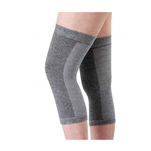 YbVЂT|[^[(2g) t[TCY@O[ 4931 rrG{ pi