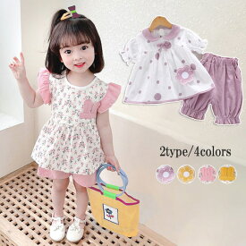 チュニック 半袖 子ども 女の子 女児 ベビー キッズ ハーフパンツ 2点セット セットアップ ショートパンツ キッズ バルーン袖 ドット柄 襟付き トップス ガールズ 子供 夏 かわいい コットン 子供服 こども 新作 80 90 100 110