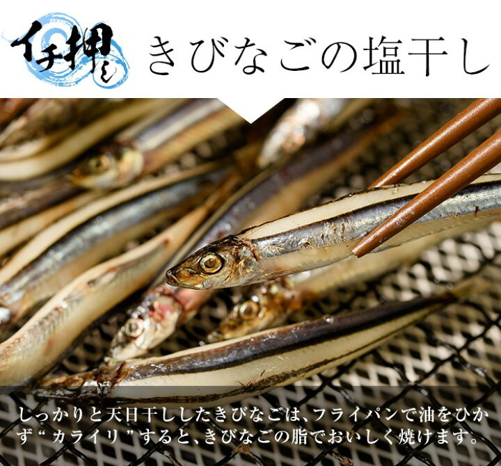 楽天市場 送料無料 ギフト 甑島のきびなご塩干し 1kg 500g 2 鹿児島産 国産 こしき島 こしきしま 塩干 天日干し 干物 キビナゴ 冷凍 贈答 漁師の約束 贈り物 お土産 薩摩川内webショップ 薩摩國