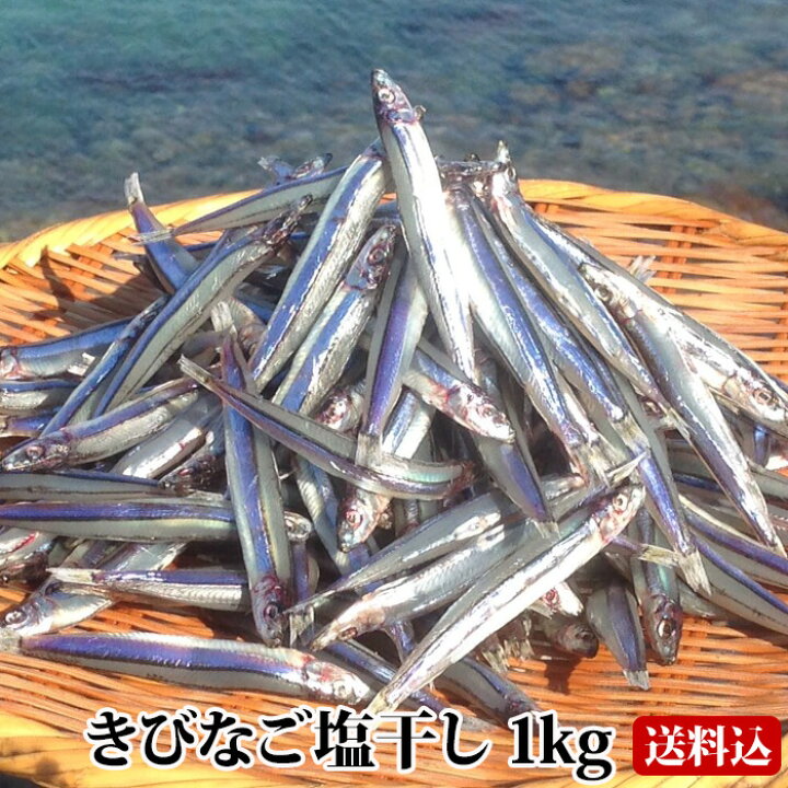 楽天市場 送料無料 ギフト 甑島のきびなご塩干し 1kg 500g 2 鹿児島産 国産 こしき島 こしきしま 塩干 天日干し 干物 キビナゴ 冷凍 贈答 漁師の約束 贈り物 お土産 薩摩川内webショップ 薩摩國