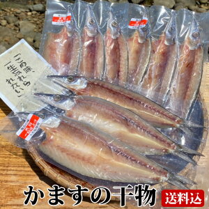 y500~ OFFN[|zyz Mtg ܂̊ (3`4) ×3 V   Y Y ܂ J}X 蕨 yY   䒆 H̖o