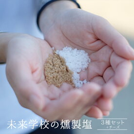【クーポン利用で200〜5000円OFF】送料無料 高江未来学校 スモークチーズ+燻製塩 3種セット（桜・ヒノキ・ヒッコリー） ギフト 贈り物 お土産 薩摩川内市 甑島 天然塩 鹿児島 薩摩川内　オフィスHIGASHI　高江 贈り物 お土産 銘品 プレゼント
