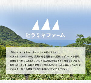 鹿児島県甑島の冷凍アロエベラ(大小セット)1.5kg【送料無料】500g×計3袋1,500gアロエスーパーフード健康食フルーツ果物スムージー健康美容肌ケアサプリメントサプリ国産鹿児島産甑島こしき島南国