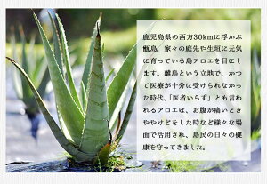 鹿児島県甑島の冷凍アロエベラ(大小セット)1.5kg【送料無料】500g×計3袋1,500gアロエスーパーフード健康食フルーツ果物スムージー健康美容肌ケアサプリメントサプリ国産鹿児島産甑島こしき島南国