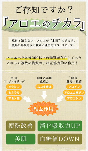 鹿児島県甑島の冷凍アロエベラ(大小セット)1.5kg【送料無料】500g×計3袋1,500gアロエスーパーフード健康食フルーツ果物スムージー健康美容肌ケアサプリメントサプリ国産鹿児島産甑島こしき島南国
