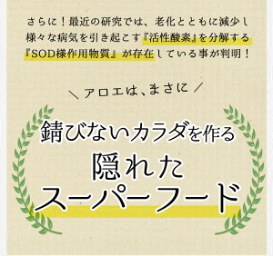 鹿児島県甑島の冷凍アロエベラ(大小セット)1.5kg【送料無料】500g×計3袋1,500gアロエスーパーフード健康食フルーツ果物スムージー健康美容肌ケアサプリメントサプリ国産鹿児島産甑島こしき島南国