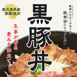 薩摩國の「せごどんぶい」黒豚丼【送料無料】【ネコポス配送】鹿児島黒豚かごしま黒豚みそ味噌麦味噌麦みそご当地グルメ薩摩飯