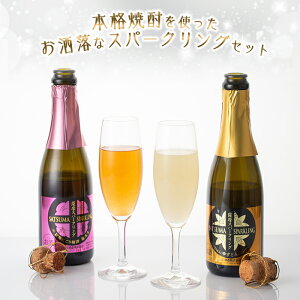 スパークリングセット(ゆずどん+梅酒)各375ml【送料無料】本格焼酎8度各375ml山元酒造ギフトプレゼント人気