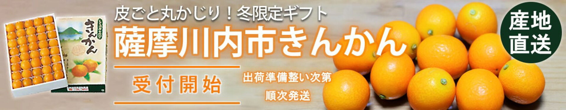 きんかん受付開始
