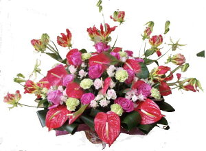 S[WXAW av[g G߂̉Ԃł܂AWg yyMt_bŹz a  hV̓ Mtg JX I[v LO j t[  ސE 