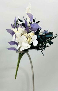 RT[W@vU[uht[@͂Ȃԁ@ƎEEEwEɃhXRT[W  a  EGfBO j LO  Vzj j 