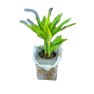 whZiETfA[ix@ϗtA A  c c ϗtA