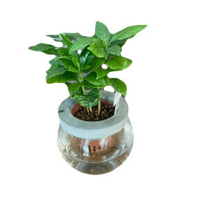 wR[q[̖؁x@ϗtA A  c c ϗtA