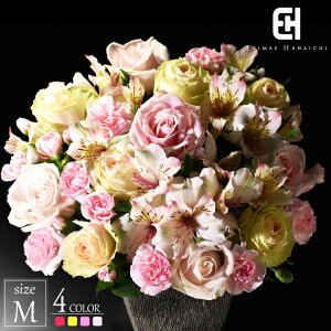  AW  MTCY  Mtg t[AWg AWg t[ Iׂ4F 邢F sN  F DF v[g ؂ o  J[l[V K[