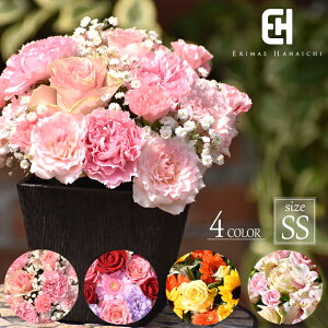 AWg SS  Mtg t[ AW Iׂ4F t[AWg  ԃAW v[g ؂ o  J[l[V K[x a j LO o