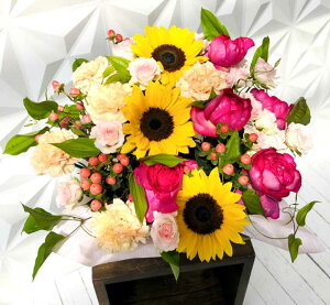 AWg STCY  Mtg t[ AW Iׂ4F t[AWg  ԃAW v[g ؂ o  J[l[V K[x a j L