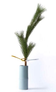 y\zᏼ ᏼ  Vt N }t Ε