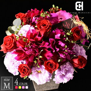 AWg M  Mtg t[ AW Iׂ4F t[AWg  ԃAW v[g ؂ o  J[l[V K[x a j LO o