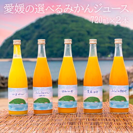 【送料無料】ギフト みかんジュース飲み比べ2本瓶 720ml 愛媛県産 100%ストレート果汁 選べるギフトセット (伊予柑・温州みかん・はれひめ・愛果28号・愛果28号&温州みかん) 無添加 高級 プレゼントに最適 きりぬき 規格外ミカン 国産 有機 ミカン