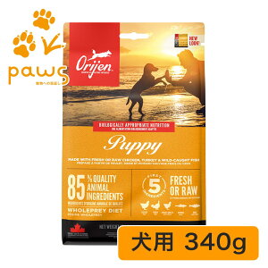 Orijen �I���W�� �p�s�[ 340g
