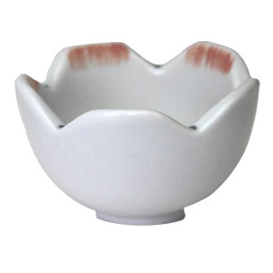  t nP  Ԍ^Y ԊG   H@Ή WΉ Ɩp H Z