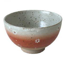 ご飯茶碗 ぼかし梅 中平 10.6cm 国産 美濃焼食器 食洗機対応 電子レンジ対応多治見 絵器彩陶